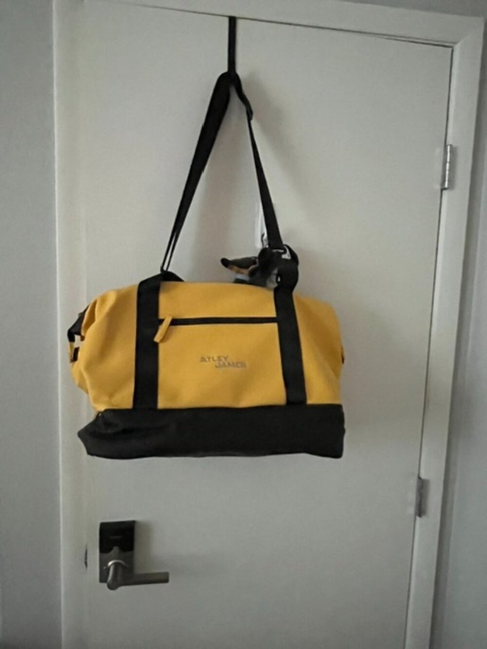 Atley James Travel Tote